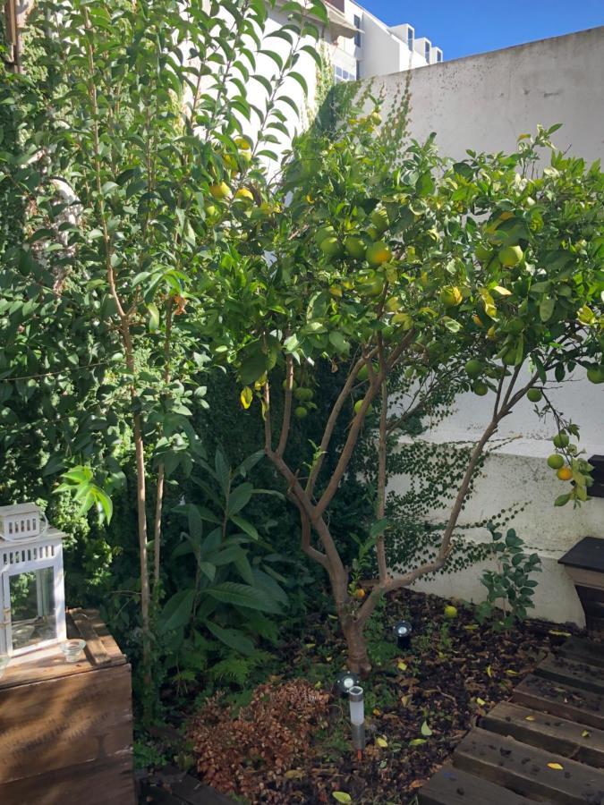 Garden Apartment リスボン エクステリア 写真